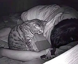Man plaatst camera omdat hij ’s nachts geen adem krijgt, ontdekt dan waarom