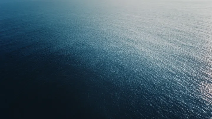 She Always Dismissed It As A Hoax – But Then, Discovered What Lay Under The Reef