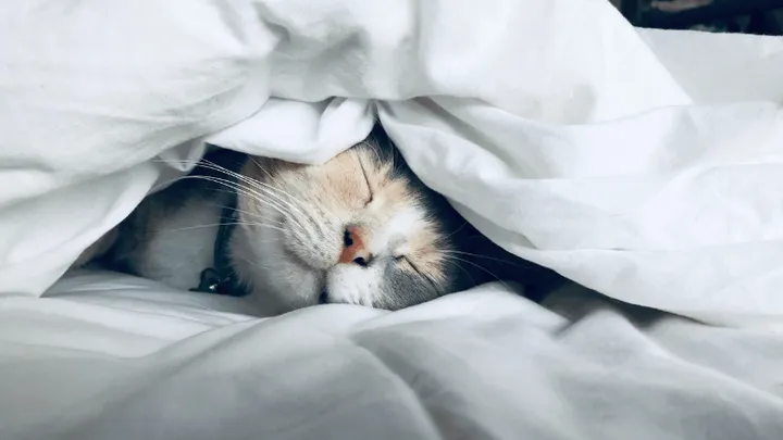 Ecco il segreto per dormire bene
