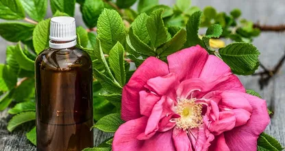 Deshalb gehört ein Fläschchen Rosenwasser in jede Schönheitspflege!
