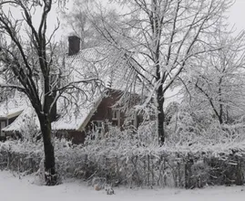 Brrr: vanaf woensdag winterse buien voorspeld