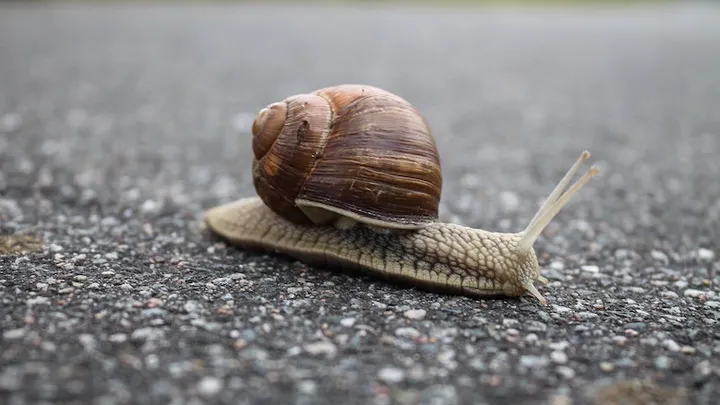 Deze 21 tuinhacks besparen je veel tijd en geld