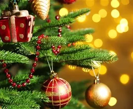 This is the biggest mistake people make when putting up their Christmas tree!