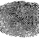 Our fingerprints can tell us a lot about ourselves. What kind of fingerprints do you have?