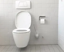Dit is waarom je de deksel van je wc dicht moet doen als je doorspoelt