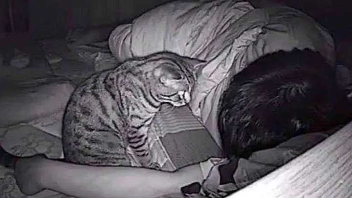 Man plaatst camera omdat hij ’s nachts geen adem krijgt, ontdekt dan waarom