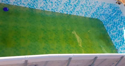 Make green pool water clear again with these three simple steps