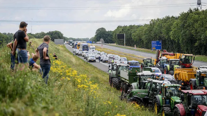Natuurorganisaties na stikstofoverleg: 'Eerder versnellen dan vertragen'