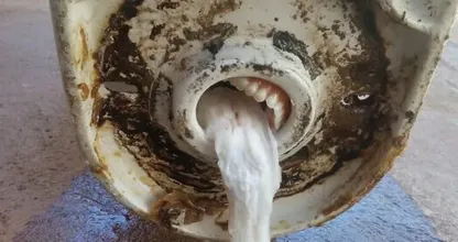 You WON'T BELIEVE What These Plumbers Found in Toilets! Number 17 is Hilarious!