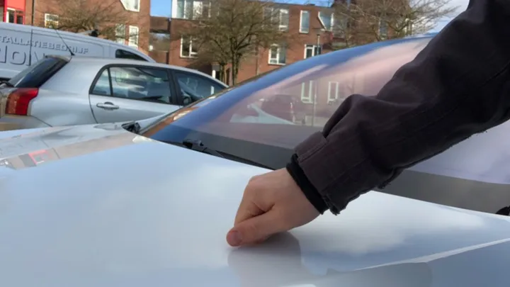 This is why you should knock on the hood of your car before you leave when it's cold out!