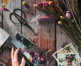 Van deze 14 bloemensoorten kan je zelf droogbloemen maken