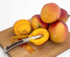 Kann man die Schale von Mangos (so wie bei Kiwis) mitessen?
