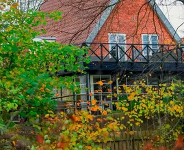 Bladeren in de tuin? Dit is waarom je ze beter kunt laten liggen