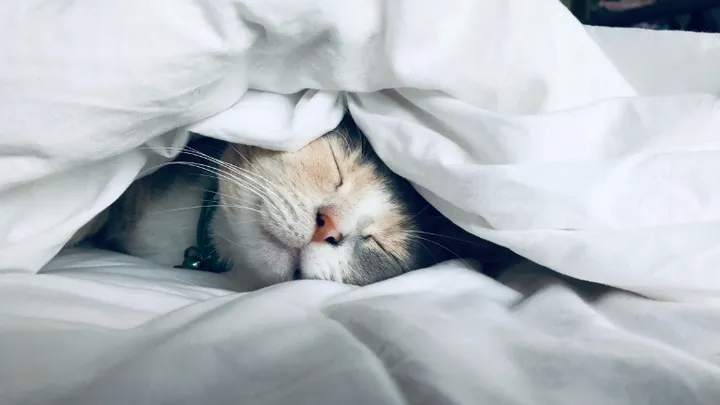 Voici le secret d'une bonne nuit de sommeil