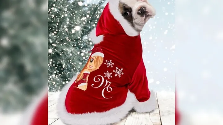 Tienes que ver cómo celebran la Navidad estos 29 famosos: ¡no te lo vas a creer!