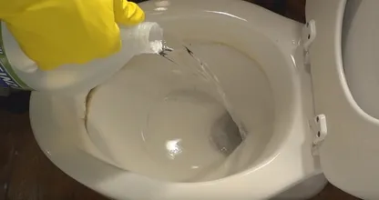 Are there stubborn dark circles in your toilet bowl? Don't worry, there's an easy way to remove them!