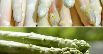 Grüner vs. weißer Spargel: diese 5 Unterschiede kennen nur die wenigsten