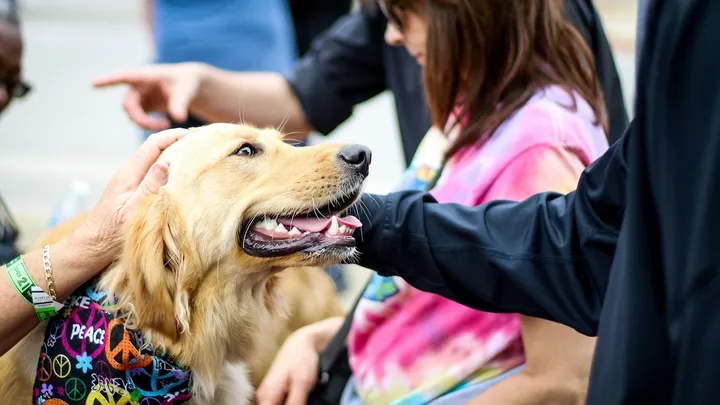 Waarom je de naam van je kind soms verwart met die van je hond