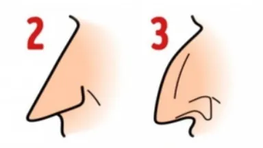 What kind of nose do you have? THIS is what it says about your personality!