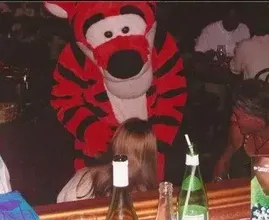 Você pode acreditar no que está vendo? 45 fotos alucinantes da Disneyland que desafiam a realidade!