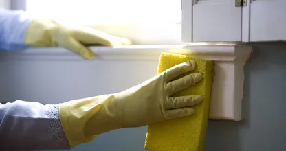 Ups: das hier sind die Stellen im Haus die wir fast immer vergessen zu putzen