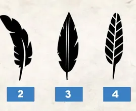 Prueba: ¡la pluma que eliges dice mucho sobre tu personalidad! ¿Qué pluma prefieres?