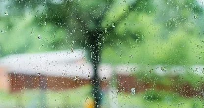 Op vakantie in eigen land? Bereid je voor op een flinke bak regen