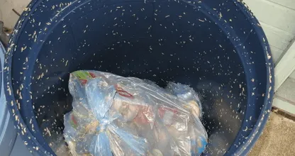 Heb je wel eens last van stank en maden in je afvalbak? Volg dan deze handige tips op!