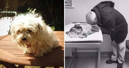 De hond van deze 74-jarige man wordt doodgebeten en DIT is hoe zijn dochter reageert.. wat vind jij hiervan?