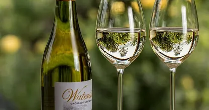 Red, white or bubbly: this is how long an opened bottle of wine lasts