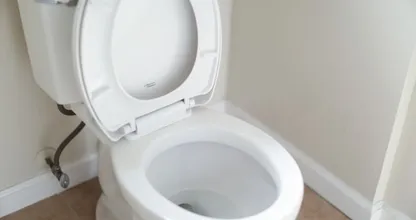 ¡Ajá! Al parecer, todos nos olvidamos de limpiar esta parte de nuestro inodoro.