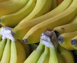 Far maturare le banane verdi in un’ora con questo semplice trucco