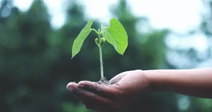 Klimaatverandering: deze dagelijkse dingen maken al een verschil