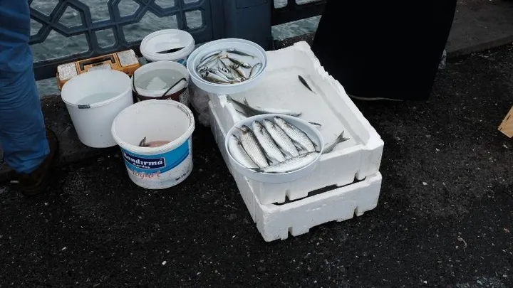 Encontraron estas 21 cosas especiales en un canal drenado en París
