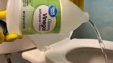 Legen Sie ein Essigtuch in Ihre Toilette und werden Sie Zeuge der Magie!
