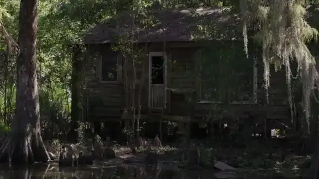 Die Entdeckung im Inneren des Körpers eines riesigen Alligators gibt Wissenschaftlern Rätsel auf!