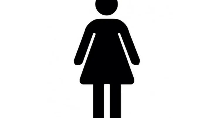 Did you think the girl on the bathroom door was wearing a dress? You were wrong!