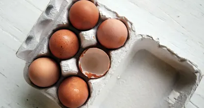 5 redenen waarom je je eierschalen niet meer weg moet gooien