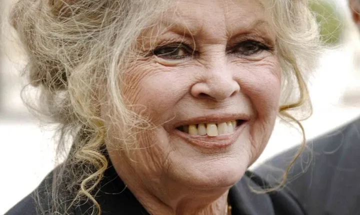 Brigitte Bardot en este momento