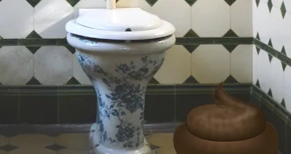 Een grote boodschap doen: hoe vaak is eigenlijk normaal?