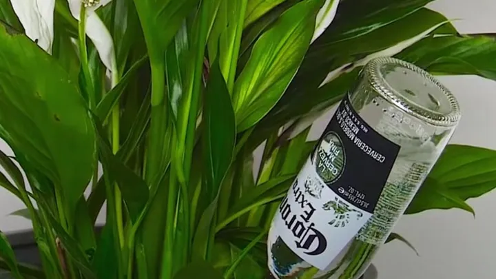 35 Incredible Lifehacks That Will Change Your Life