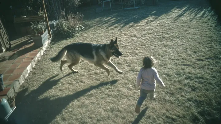Mutter lässt ihr Baby nur Sekunden lang mit deutschem Schäferhund allein - was sie dann sieht, erschreckt sie!