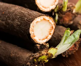 Salsify is notoriously sticky to peel — this old cooking trick makes it much easier