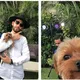 As mais hilárias interpretações errôneas de solicitações de edição de fotos