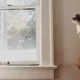 Cómo deshacerse del moho en las ventanas y cómo prevenirlo
