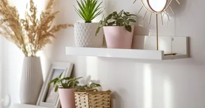 Handig: zo geef je jouw kamerplanten precies genoeg water