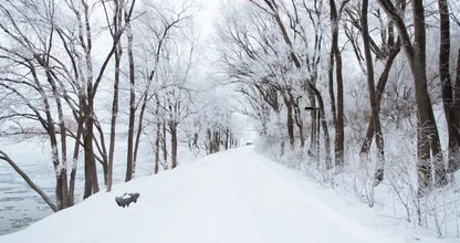 Pak de handschoenen: het wordt koud dit weekend met kans op sneeuw