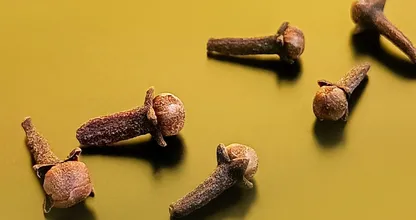 4 Gründe, warum Gewürznelken gut für Ihre Gesundheit sind