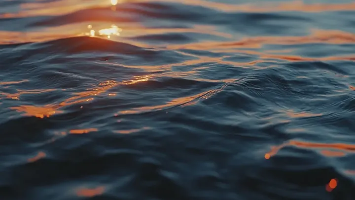 Pescadores são surpreendidos por uma criatura marinha misteriosa - o que veio à tona os deixou sem palavras