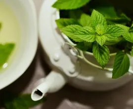 Zet deze plant in de keuken als je last hebt van fruitvliegjes